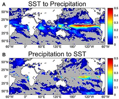Causal relationship between sea surface temperature and precipitation revealed by information flow